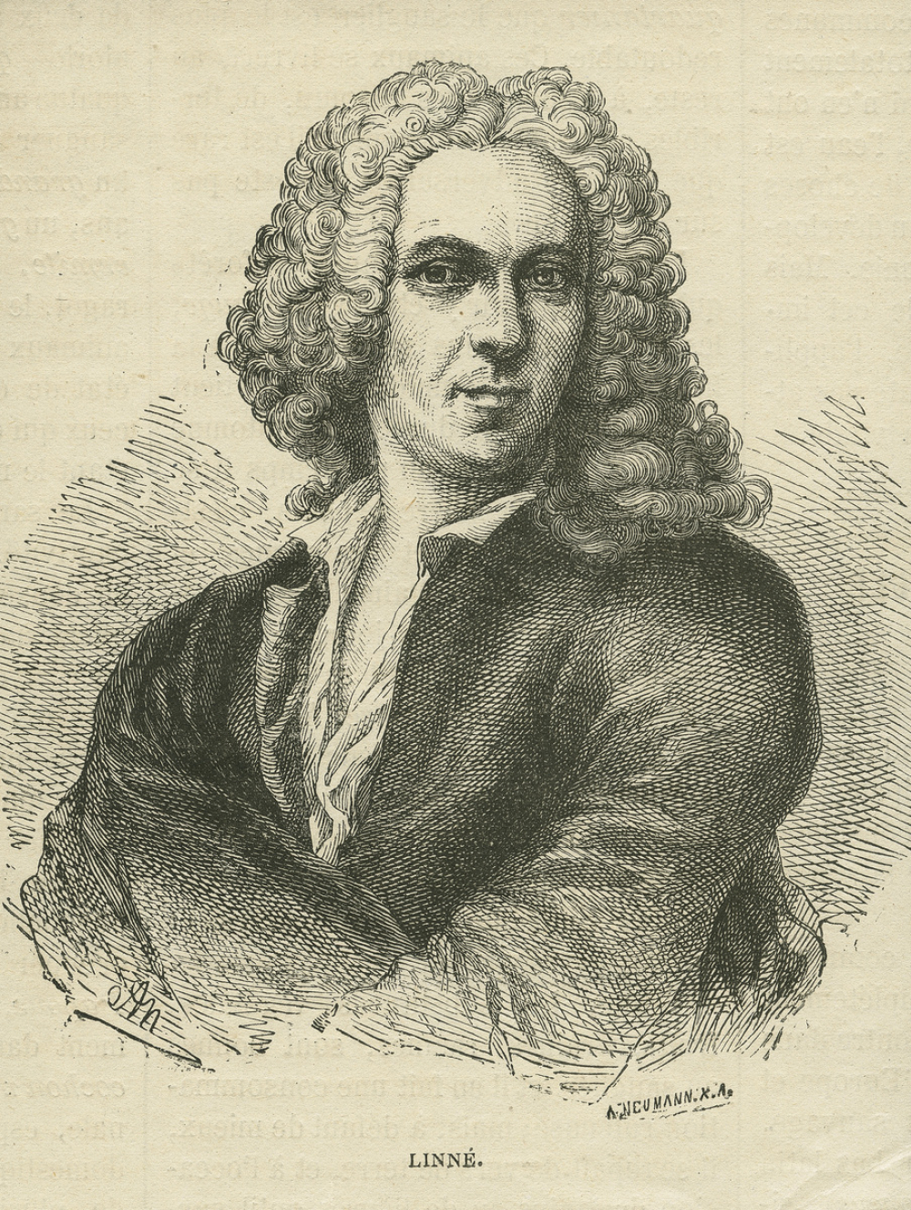 Linné.