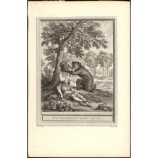 Fable de La Fontaine. L'ours et l'Amateur de jardins. Fable CLII.
