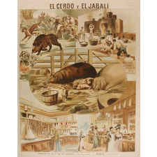 Tableau mural. El cerdo y el jabali.