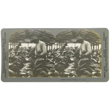 Florida Tobacco, U.S.A. 