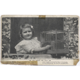 La Cage de Lili. 