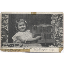 La Cage de Lili. 