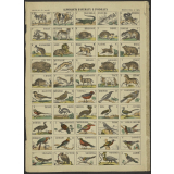 Alphabet d'animaux et d'oiseaux. Imagerie d'Epinal, N° 324.