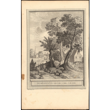 Fable de La Fontaine. Les Frêlons et les Mouches à miel. Fable XXI.