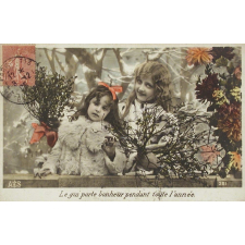 Le Gui porte bonheur pendant toute l'année.