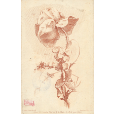 Giroflée. Coquelicot.