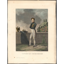 Napoléon duc de Reichestadt.