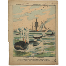 Chasse à la baleine - La chasse n°2.