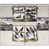 Description des quadrupèdes, oiseaux & reptiles les plus curieux qui se trouvent dans la guinée dessinez sur les lieux d'après le naturel. Tome VI, N° 13, Pag. 32.