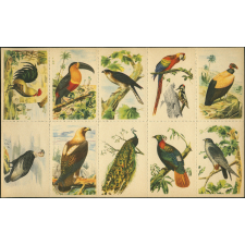 Planches d'images faune et flore