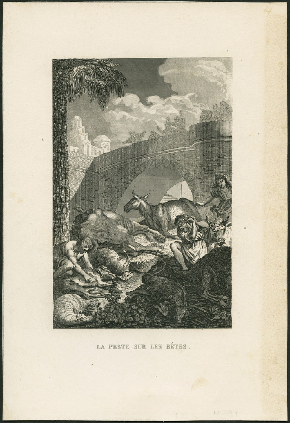 La peste sur les bêtes.