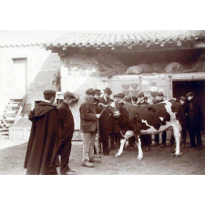 Visite d'une ferme.
