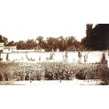 Champ de démonstration.