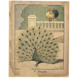 Le Paon.