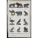 Images d'animaux. Planche de l'imagerie de Lille. 