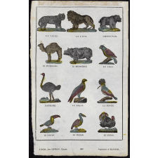 Images d'animaux. Planche de l'imagerie de Lille.