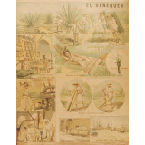 Tableau mural. El henequen.