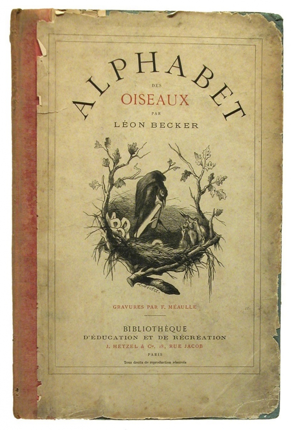 Alphabet des oiseaux.