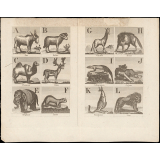 Alphabet de l'histoire des animaux orné de 27 gravures.
