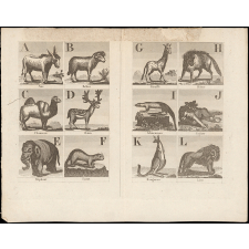 Alphabet de l'histoire des animaux orné de 27 gravures.
