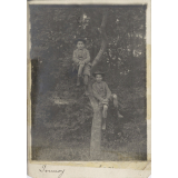 Deux jeunes garçons dans un arbre. 