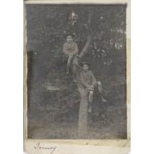 Deux jeunes garçons dans un arbre.