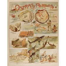 Tableau mural. Ostras y perlas.