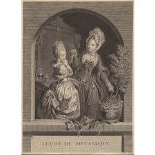Leçon de botanique.