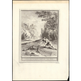 Fable de La Fontaine. L'Oiseleur, l'Autour et l'Aloüette. Fable CXVIII.