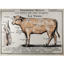 Enseignement ménager. Les animaux que nous mangeons. Le Veau.