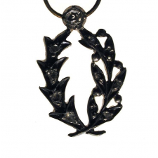 Palmes d'Officier d'Académie.