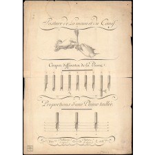 L'art d'écrire. Planche IV. Posture de la main et du canif.