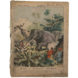 Chasse à l'éléphant d'Afrique - La chasse n°8.