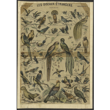 Les Oiseaux étrangers. Histoire Naturelle. Imagerie d'Epinal. N° 1(..).