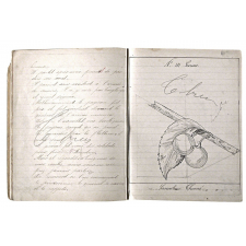 Cahier journalier d'Ernestine Thomé, élève à l'école de filles du Mériot (Aube). 