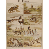 Tableau mural. El perro.
