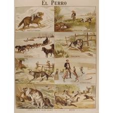 Tableau mural. El perro.