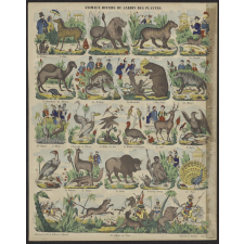 Animaux divers du Jardin des Plantes.