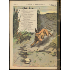 Le Lièvre et les Grenouilles. (Fable de La Fontaine).