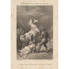 Souvenirs de la vieille France. Fragments Mérovingiens, de M. Alfred Driou.
