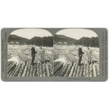 Logging Scene in Norway.