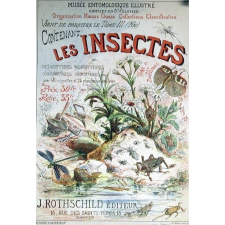 Les Insectes.