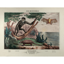 Tableau mural. Asie méridionale.