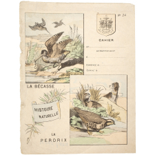 La Bécasse et la perdrix - Histoire naturelle n°24.