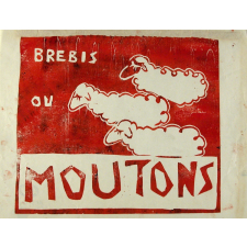 Brebis ou moutons.