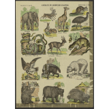 Animaux du jardin des plantes.