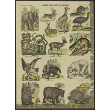 Animaux du jardin des plantes.
