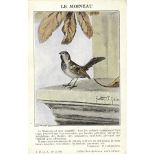 Le Moineau.