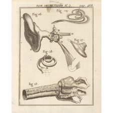 Planche de Sciences Naturelles : l'ouïe.