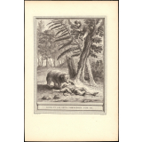 Fable de La Fontaine. Lours et les deux Compagnons. Fable CII.